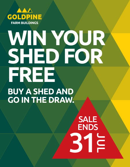 Win Your Shed for Free!*