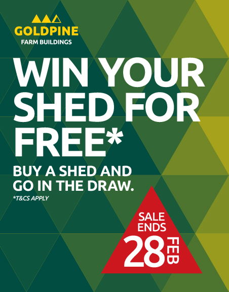 Win Your Shed for Free!*