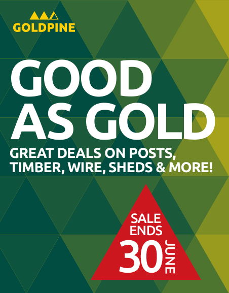 Good as Gold June Deals
