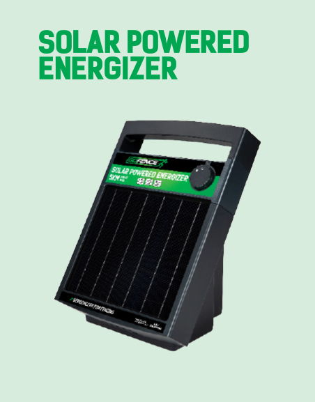 Solar powered energizer