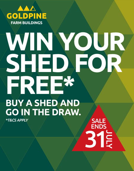 Win Your Shed for Free!*