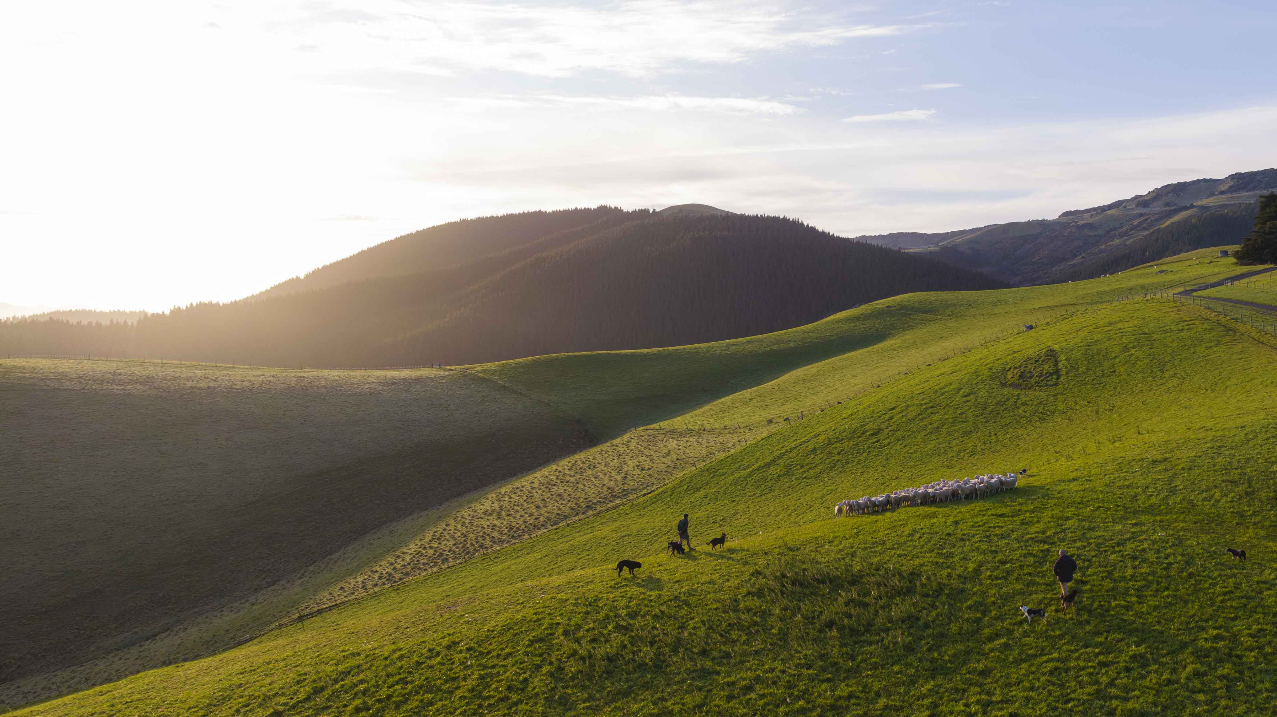 The Post January 2025