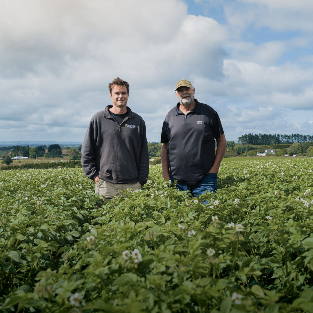 The Post February 2026