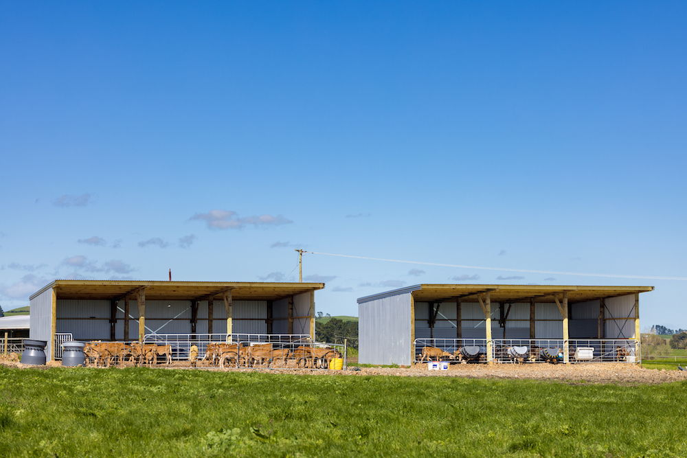 Buy a Shed & Win One of 22 Toolbox Packages – Winners Announced
