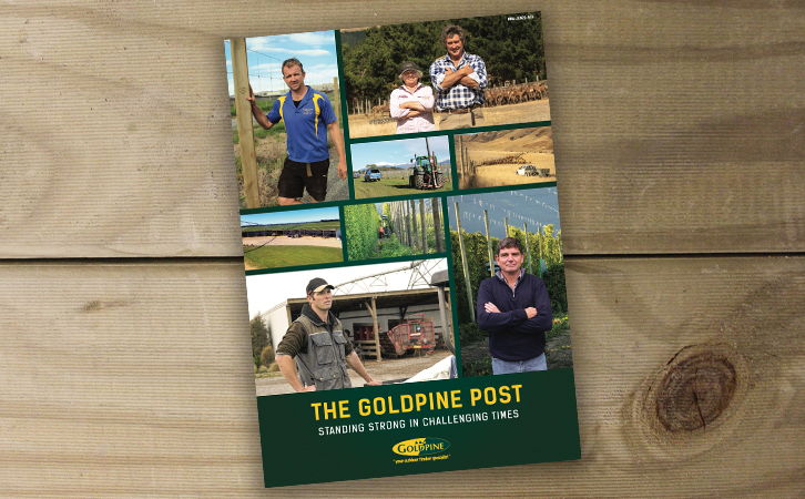 The Goldpine Post – JUNE 2020