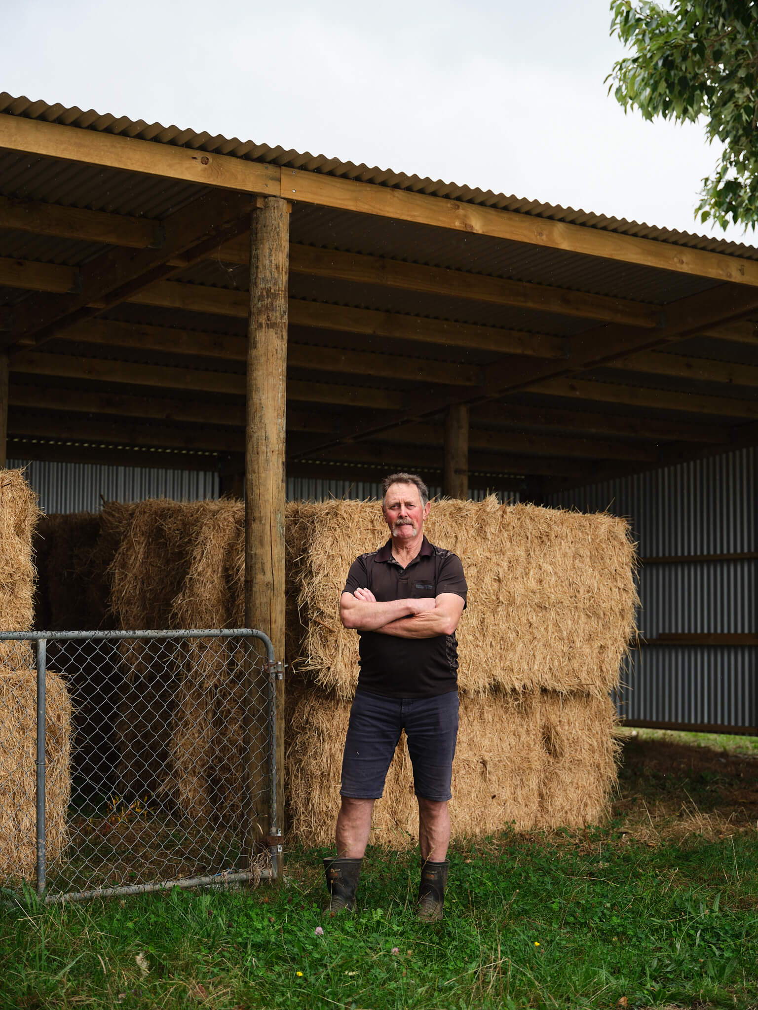 Built Fast, Built to Last