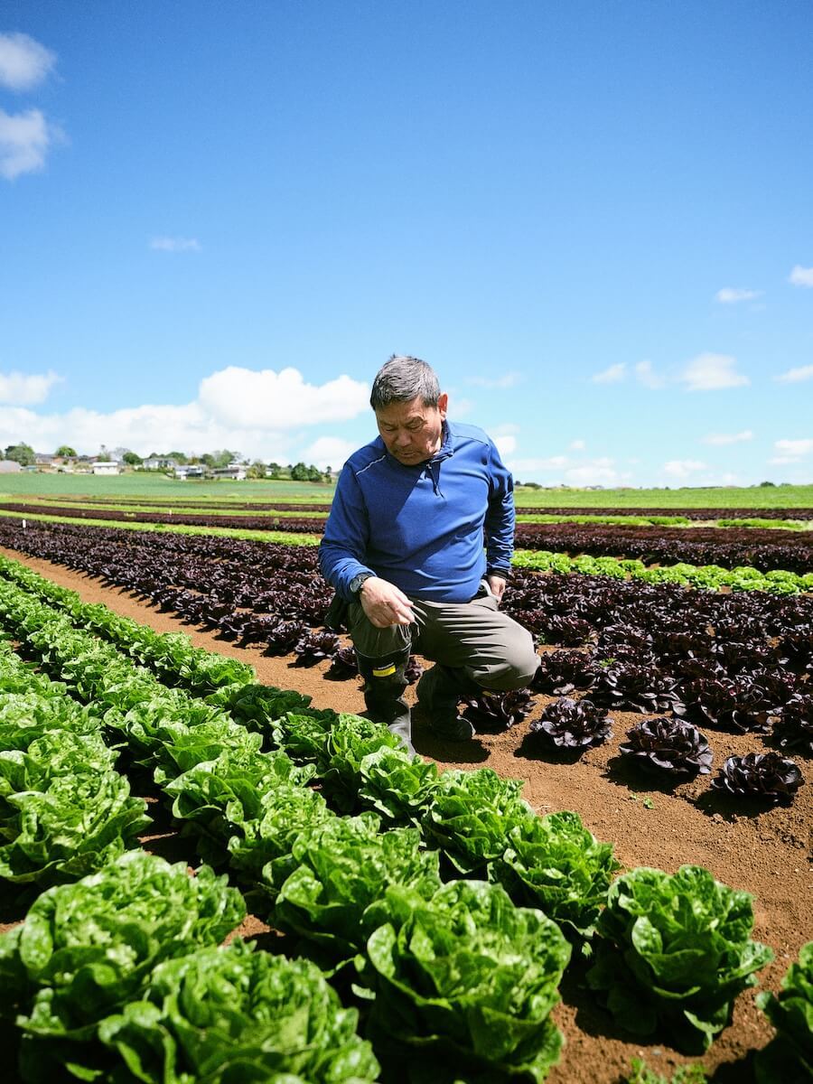 The Post December 2025