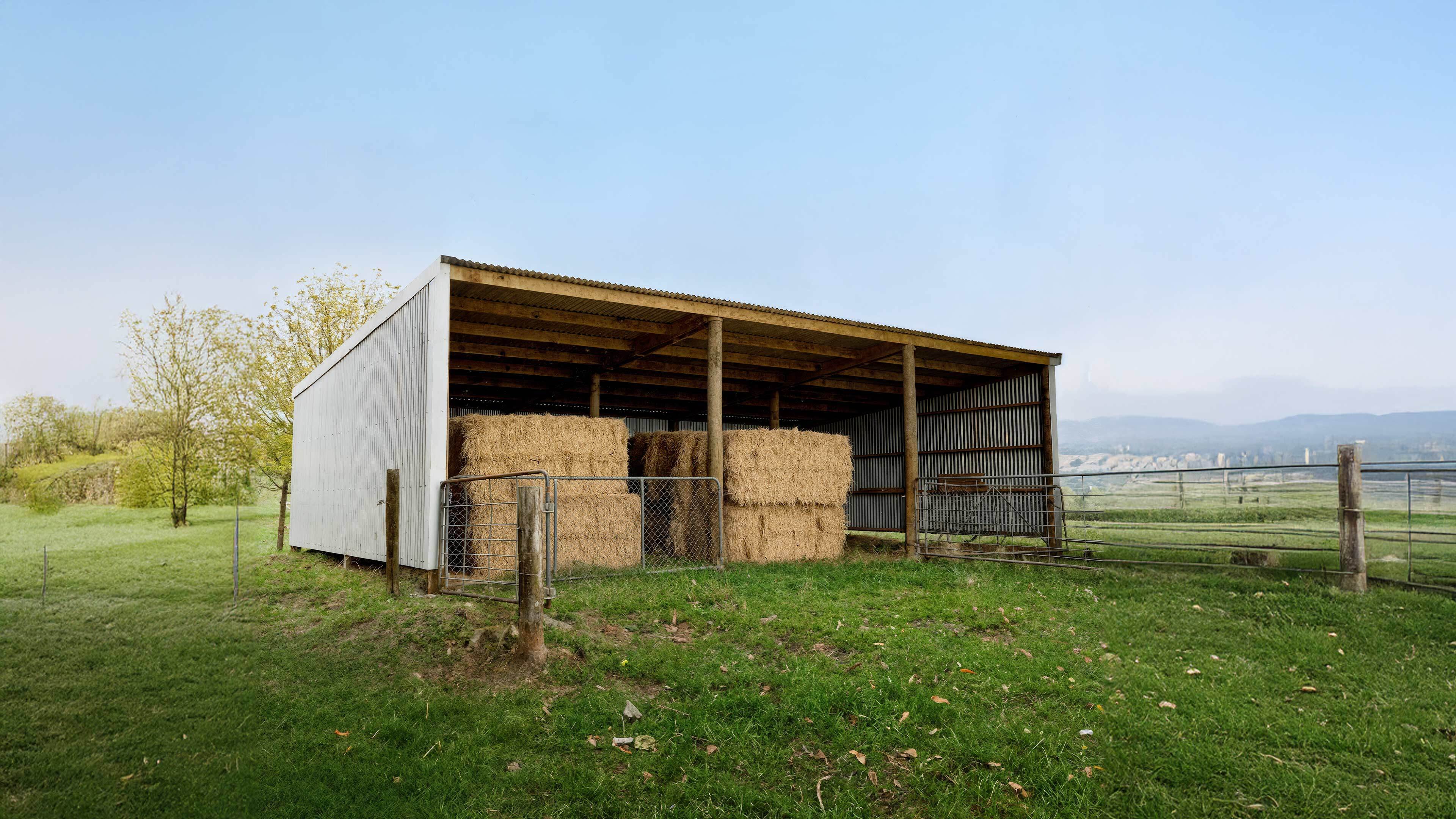 Buy a Shed and get a free STIHL Product 