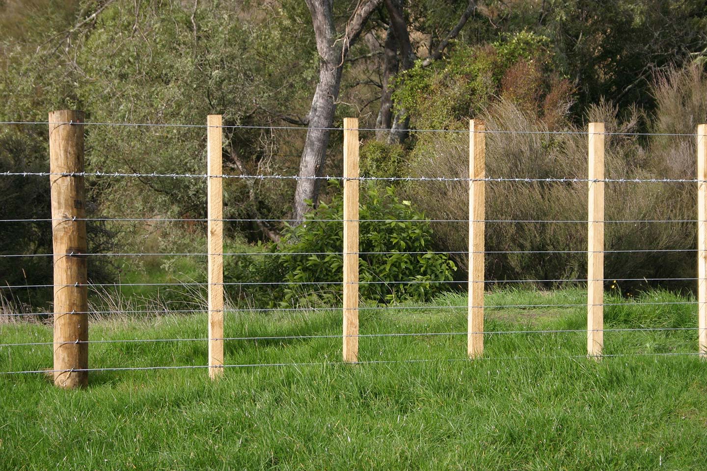 GOFENCE® ENDURANCE® Barbed Wire Goldpine