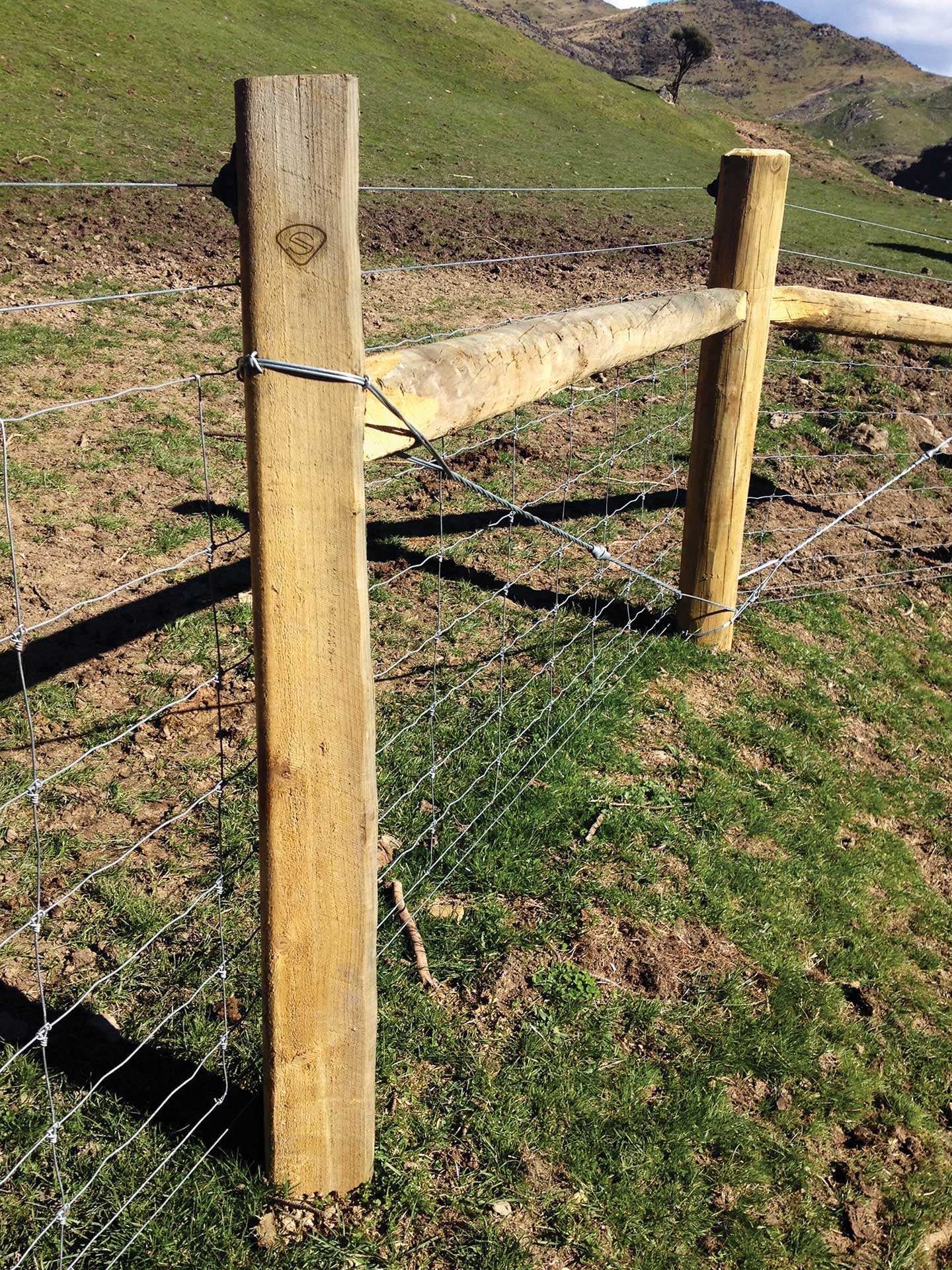 Rounded Superpost® Goldpine